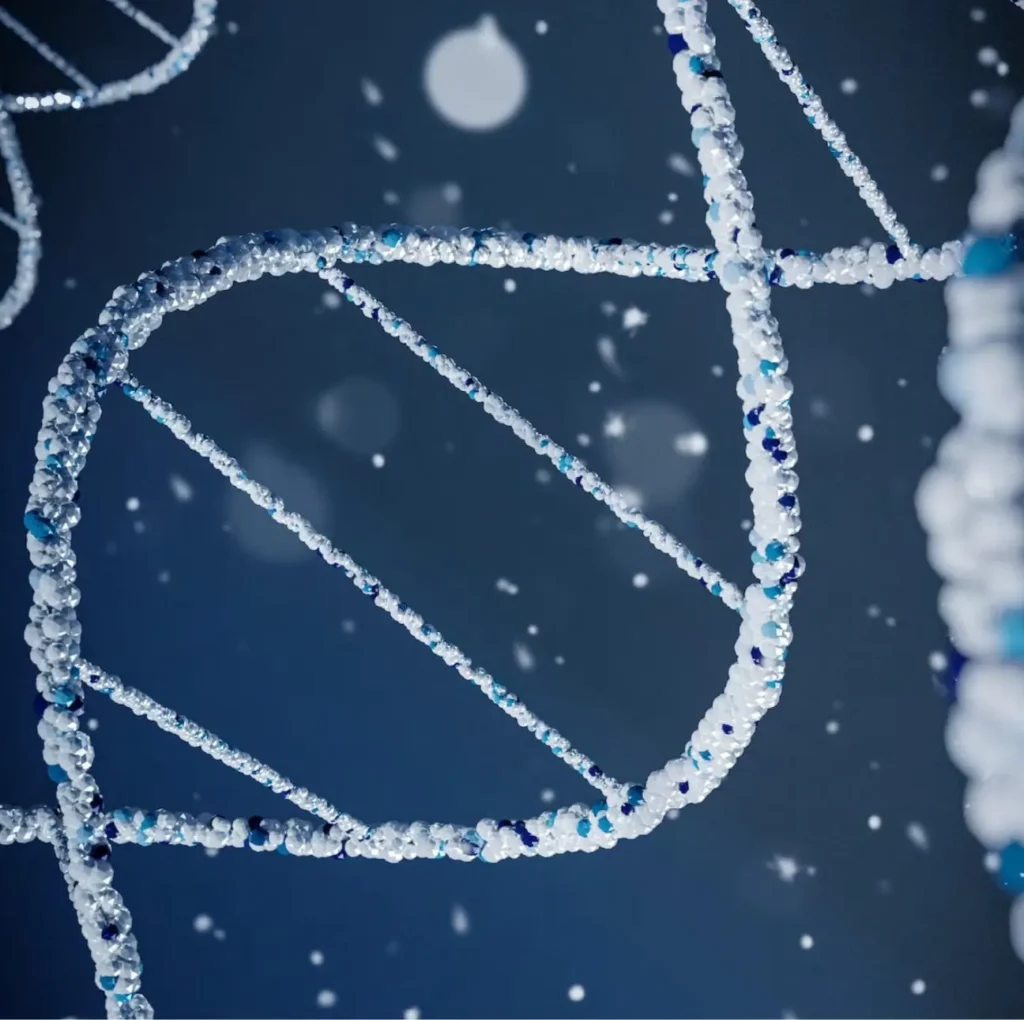 dna cells up close Image